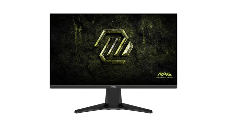 MSI PRO MP165 E6 15.6-inch FHD portable monitor in Black with anti-glare IPS display, USB-C and Mini HDMI, adjustable kickstand– available on Amazon India at Rs 8,599